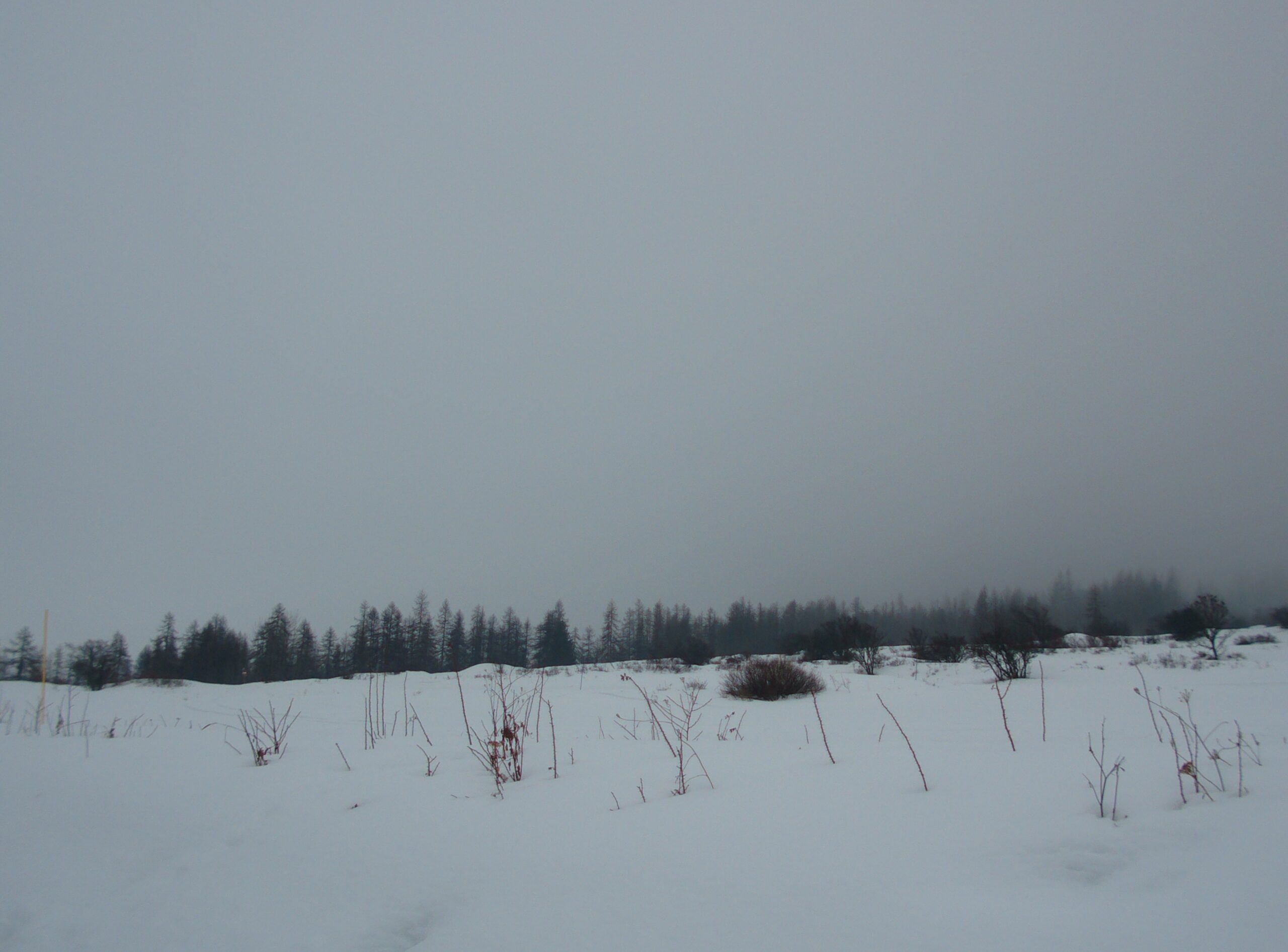 Lost...